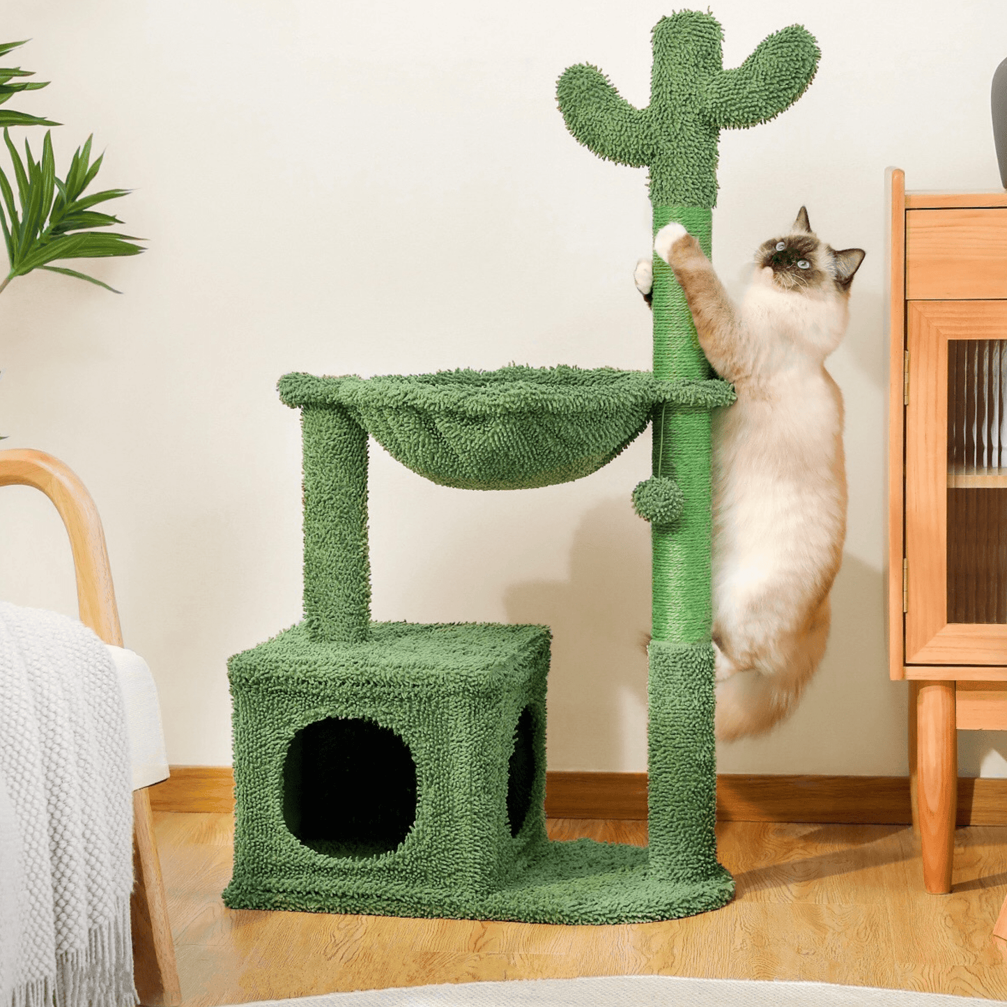 Le Grand Cactus