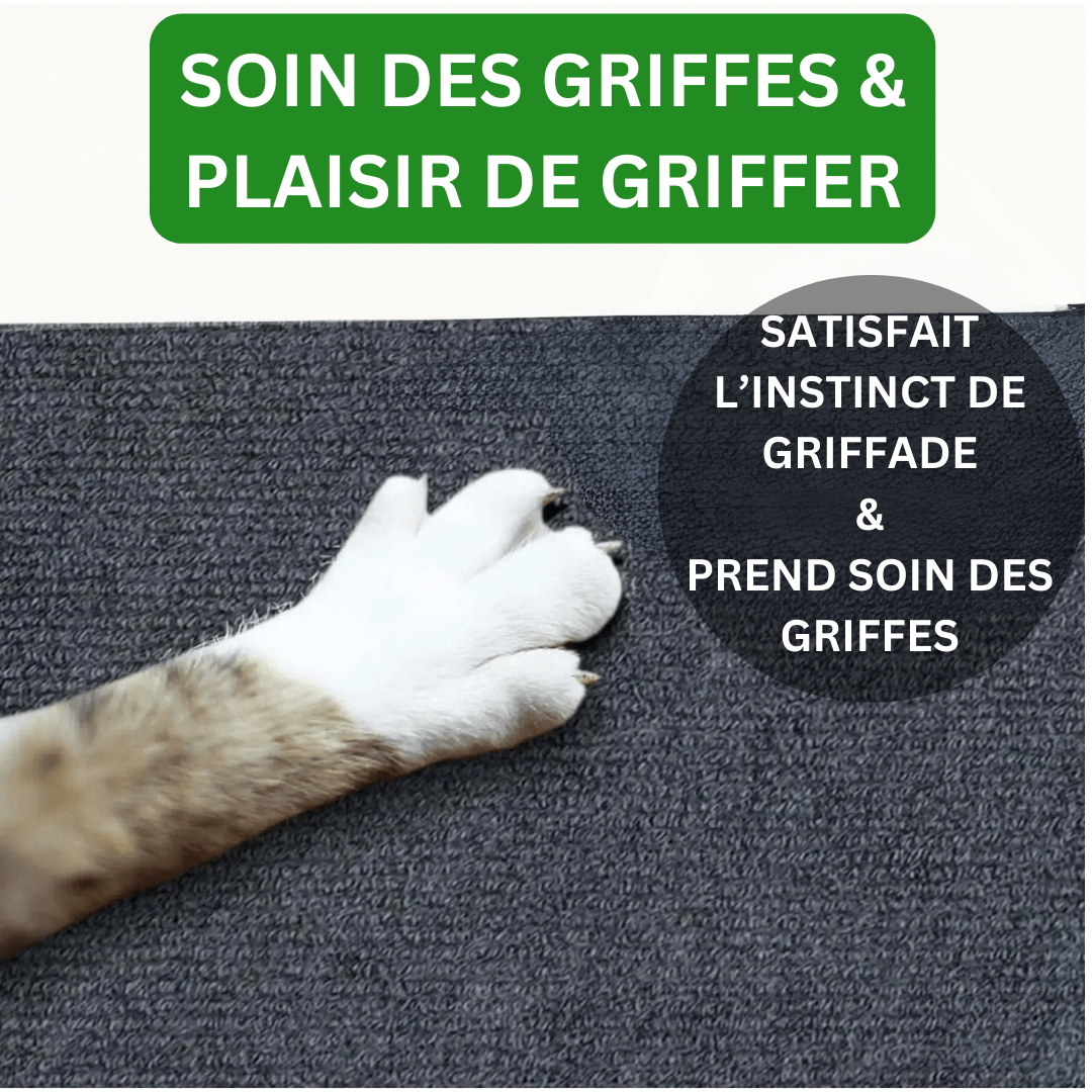 Tapis de Protection Anti-Griffes – Autocollant & Respectueux des Meubles
