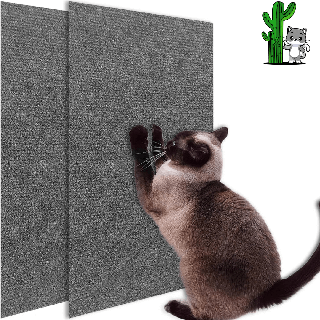Tapis de Protection Anti-Griffes – Autocollant & Respectueux des Meubles