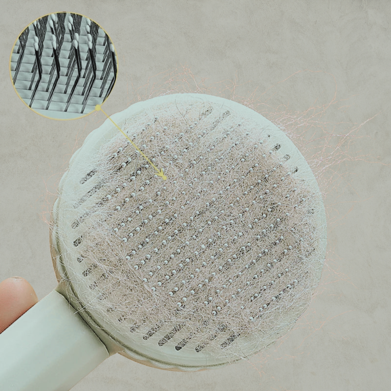 La brosse cactus