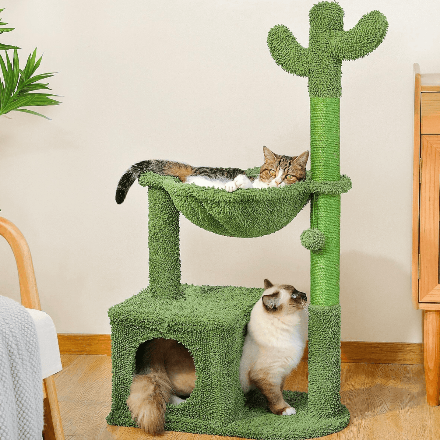 Le Grand Cactus