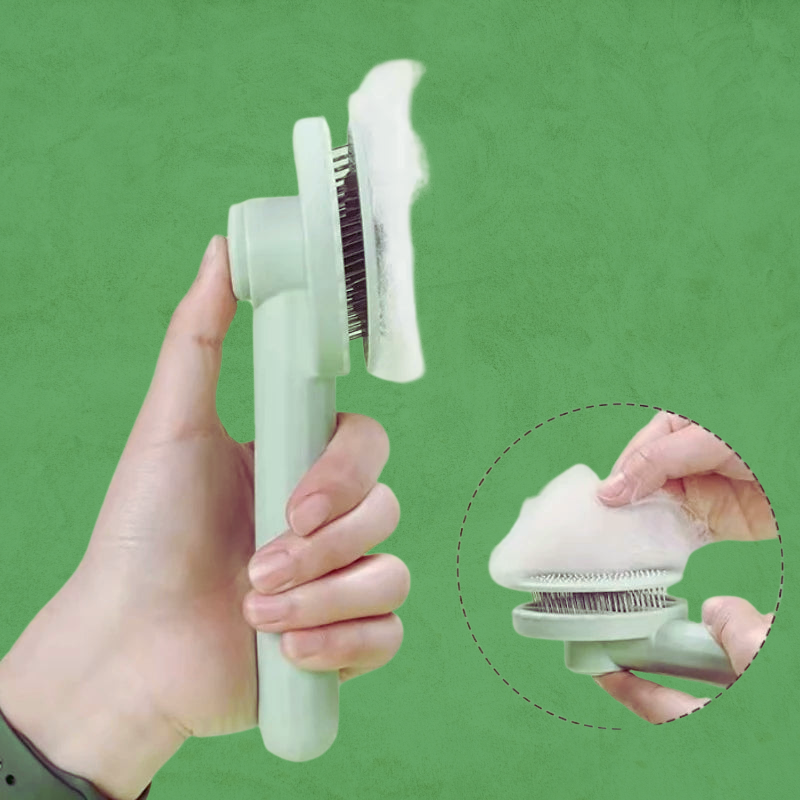 La brosse cactus