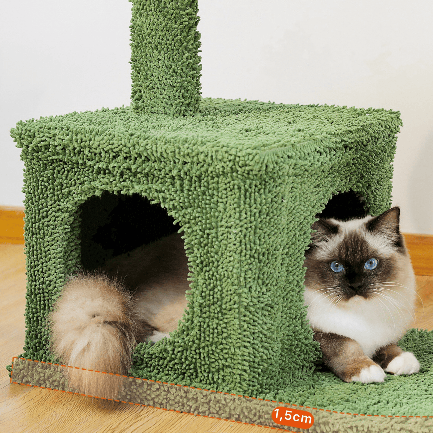 Le Grand Cactus