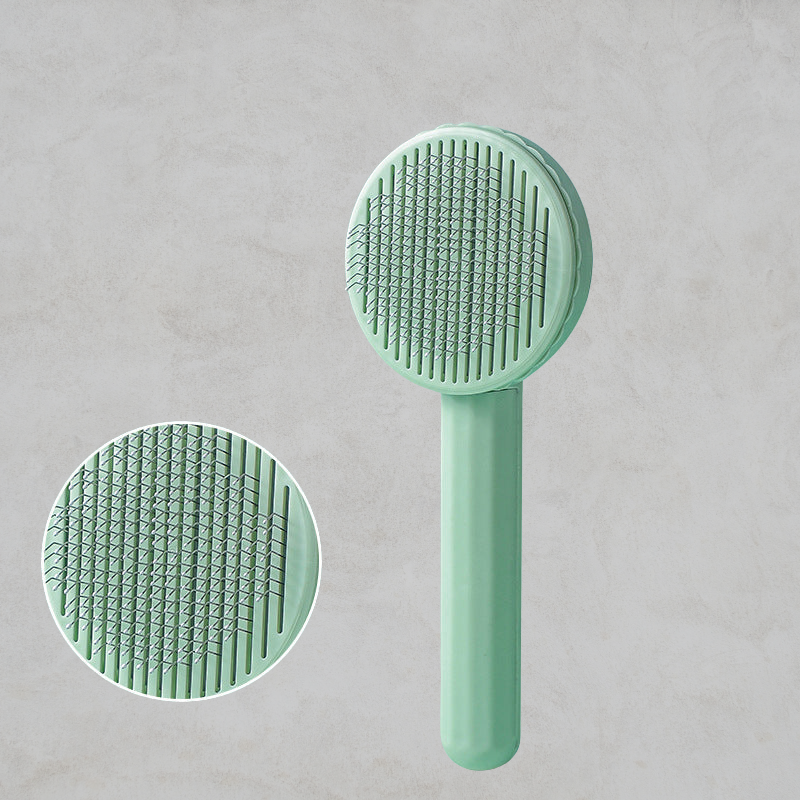 La brosse cactus