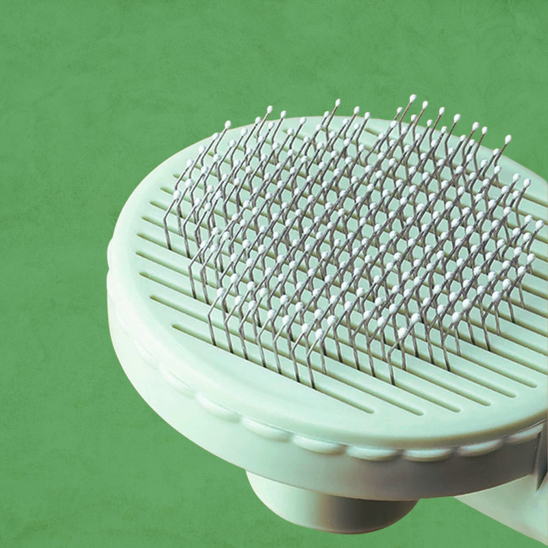 La brosse cactus