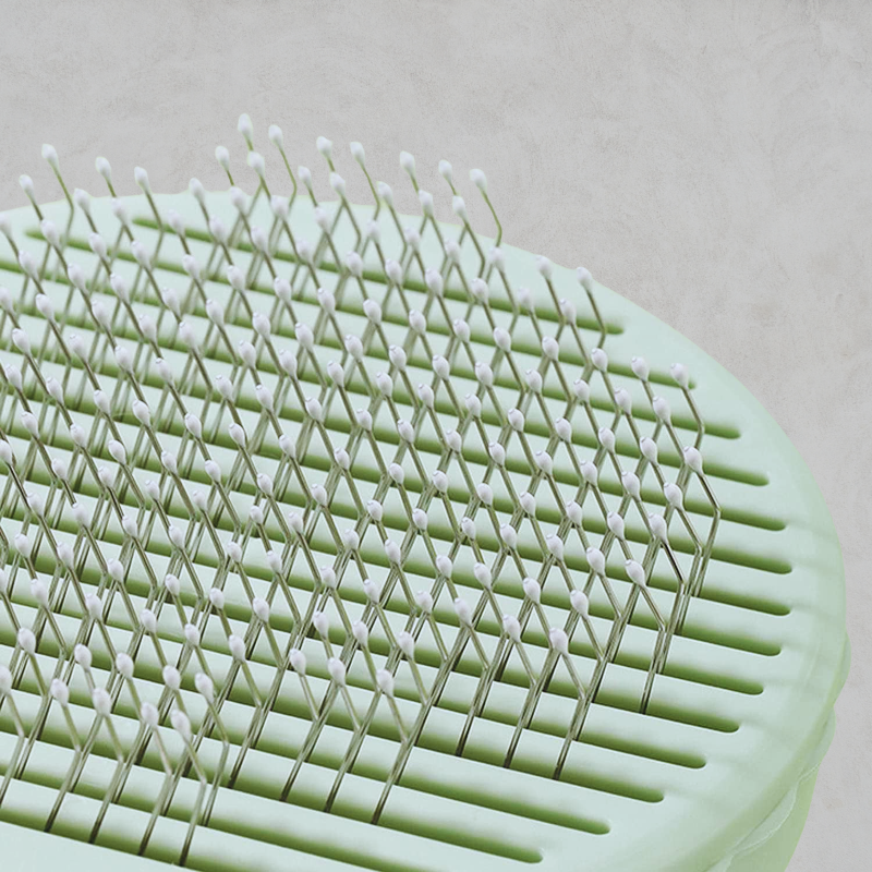 La brosse cactus