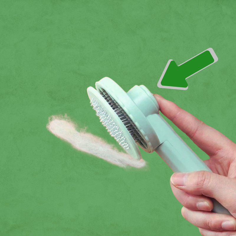 La brosse cactus