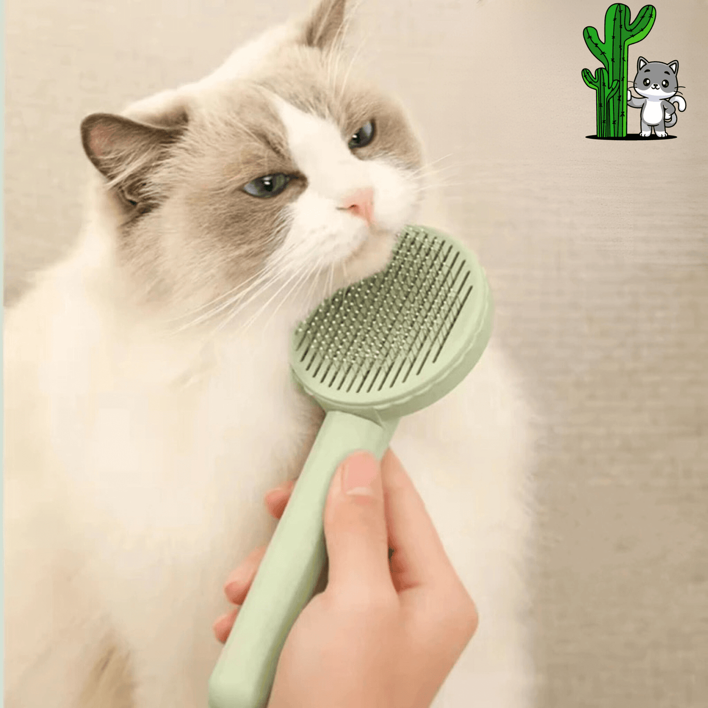 La brosse cactus