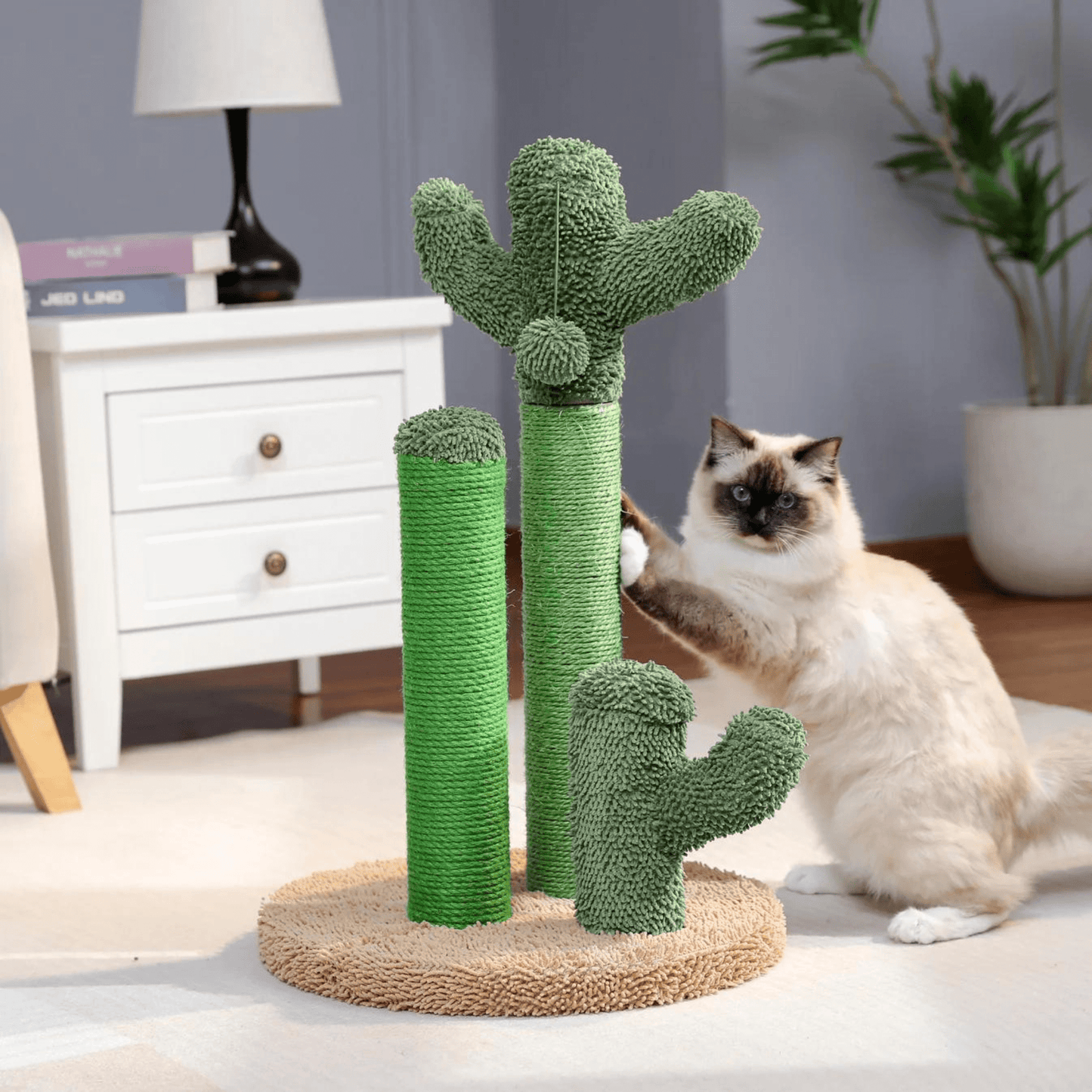 Le Griffoir-Cactus