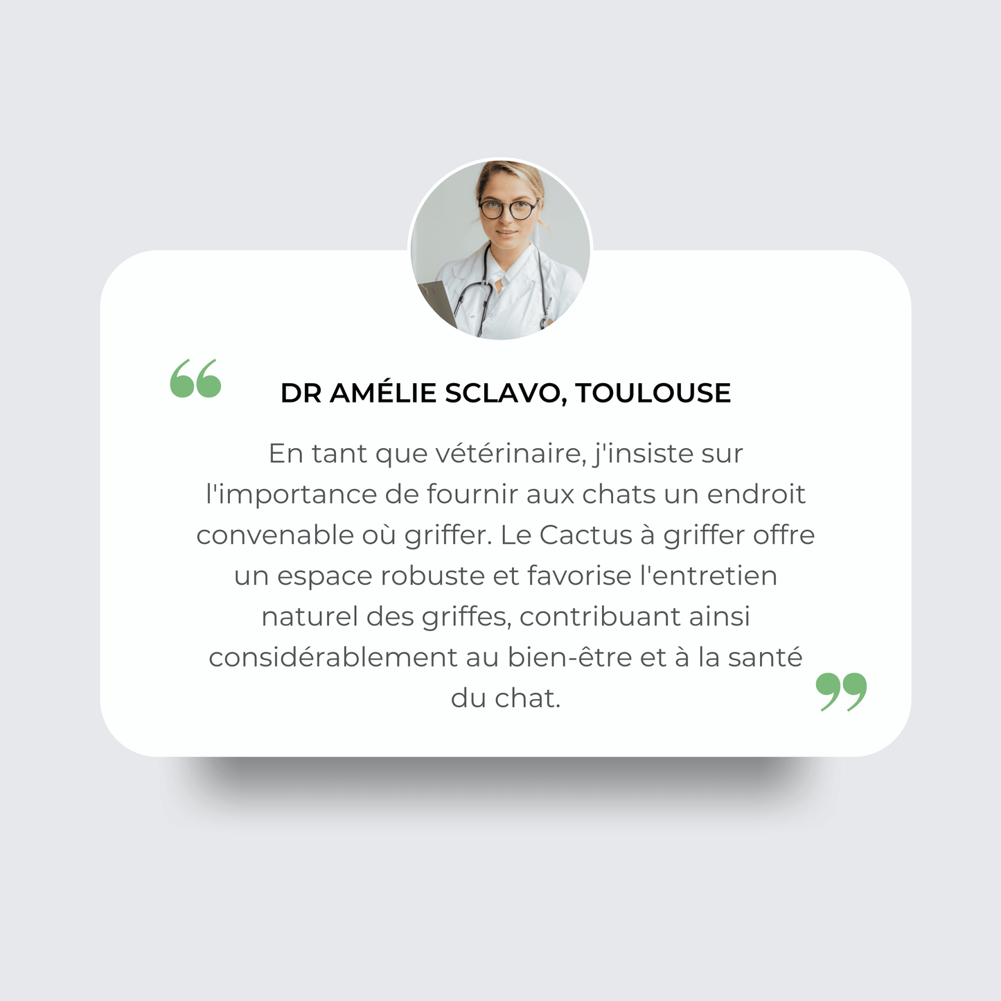 Le poteau d'escalade Griffoir-Cactus Plus