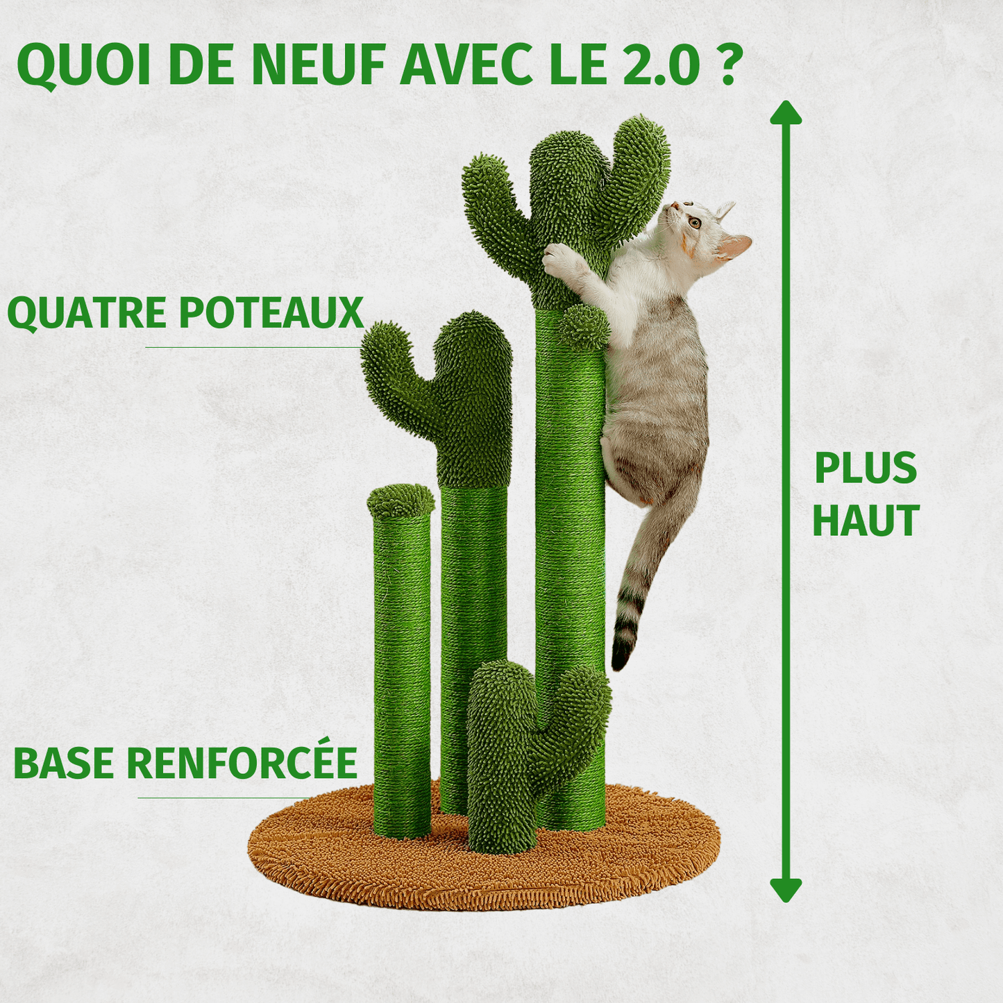 Le GriffoirCactus 2.0